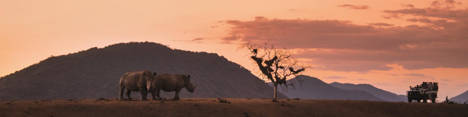 Safari w Parku Narodowym Krugera – RPA z Memories Vacations